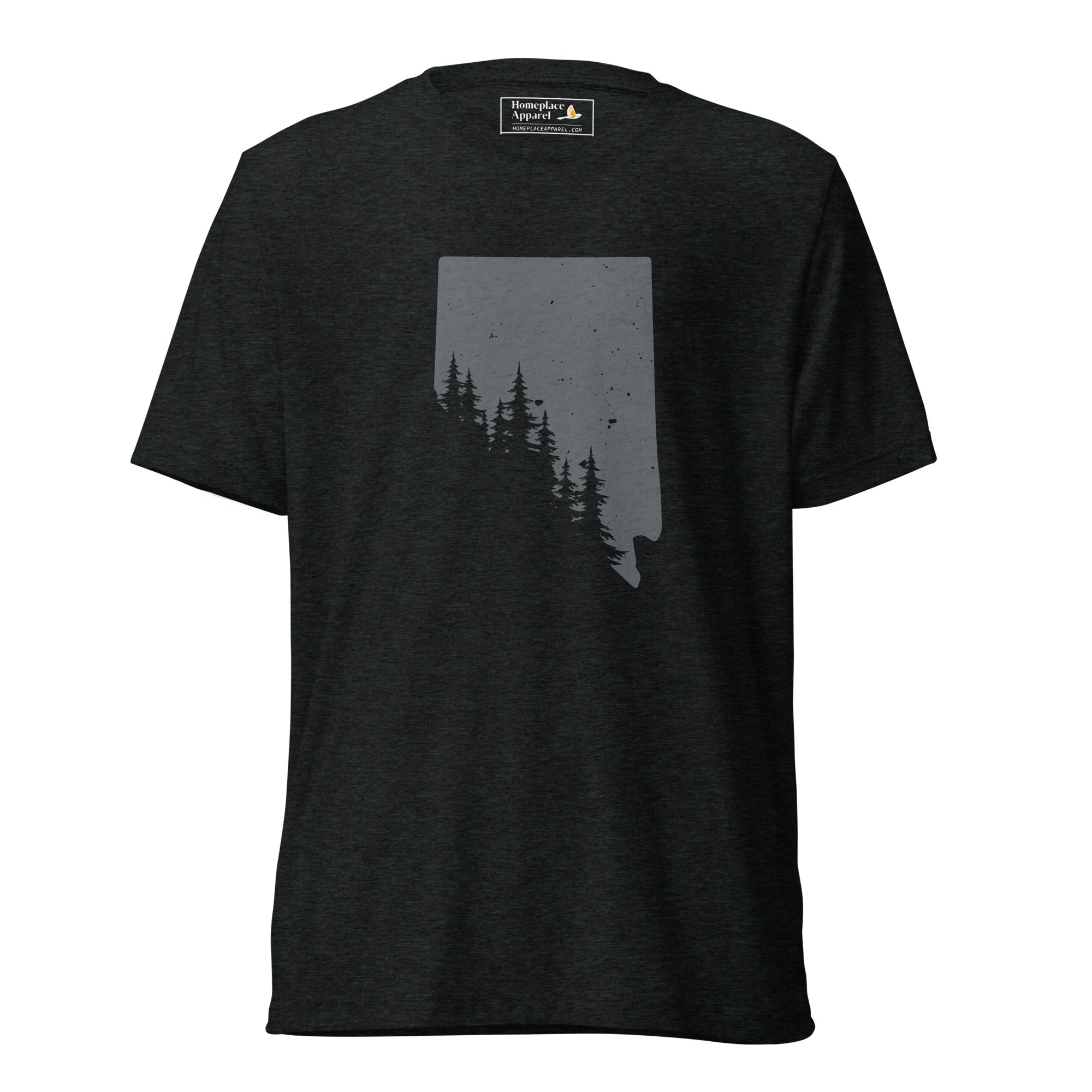 unisex-tri-blend-t-shirt-charcoal-black-triblend-front-650e38b58f90b.jpg